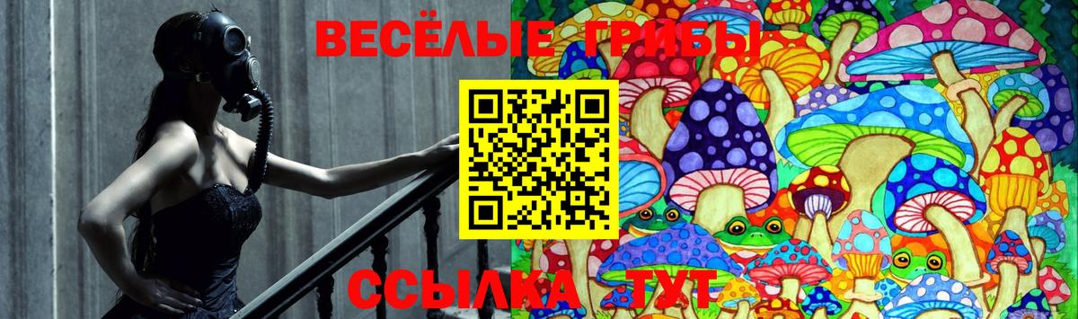 Псилоцибиновые грибы Psilocybine cubensis  Вход с VPN  Батайск  Галлюциногенные грибы мухоморы 